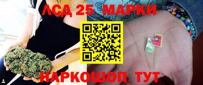 СК Обь