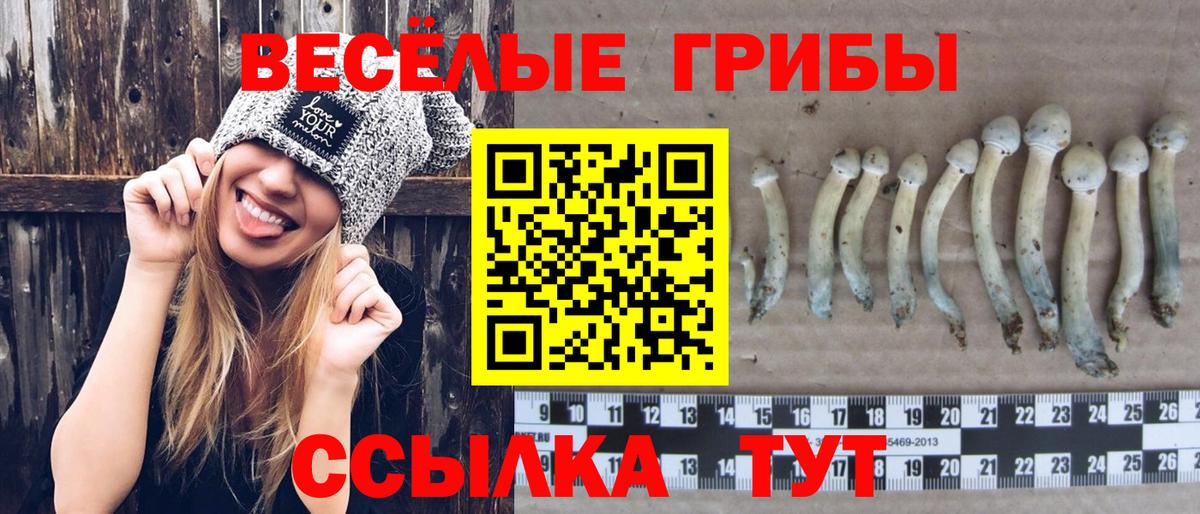 Галлюциногенные грибы MAGIC MUSHROOMS Реутов