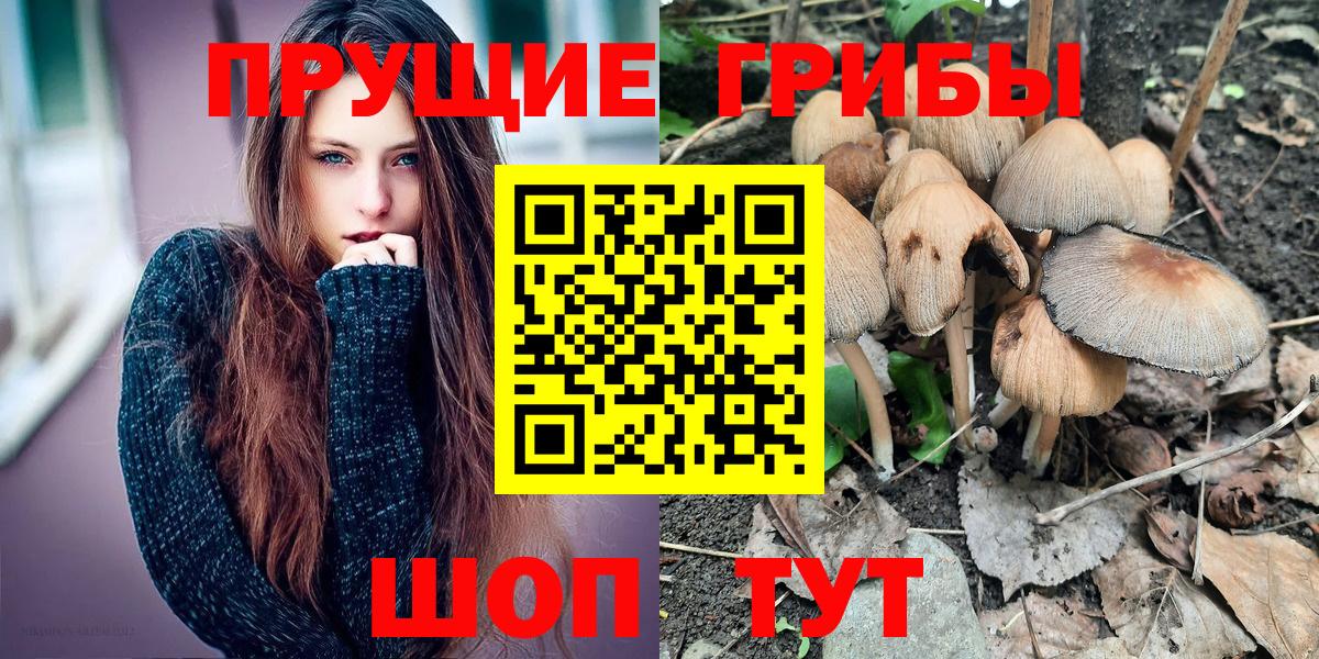 Псилоцибиновые грибы Psilocybe  Вход с VPN  Реутов 